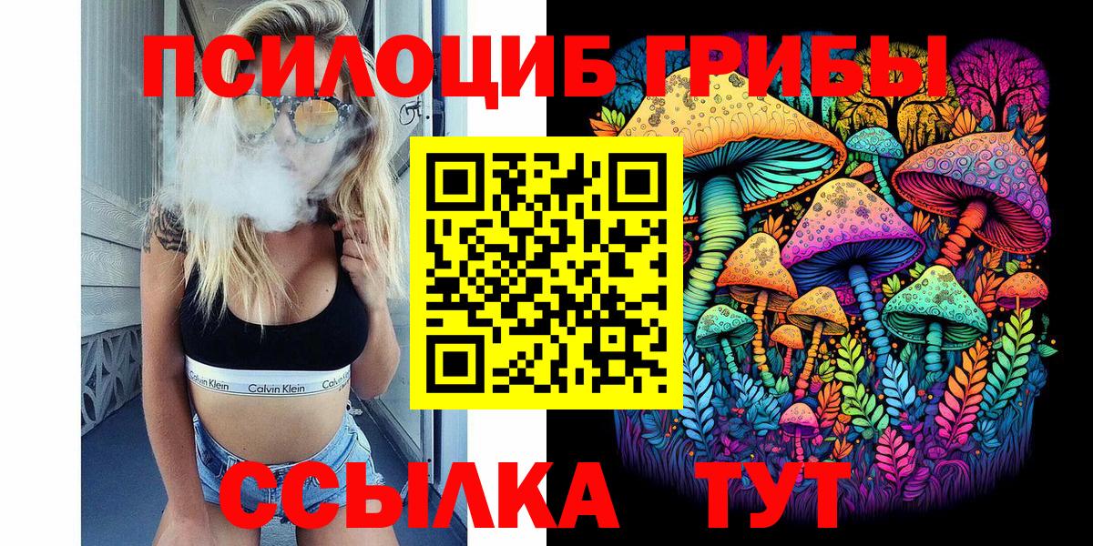 Галлюциногенные грибы Psilocybine cubensis Иркутск